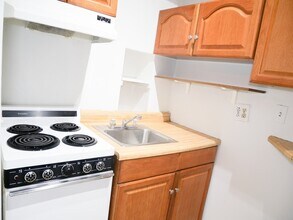 257 W Newton St, Unit 6 in Boston, MA - Building Photo - Building Photo