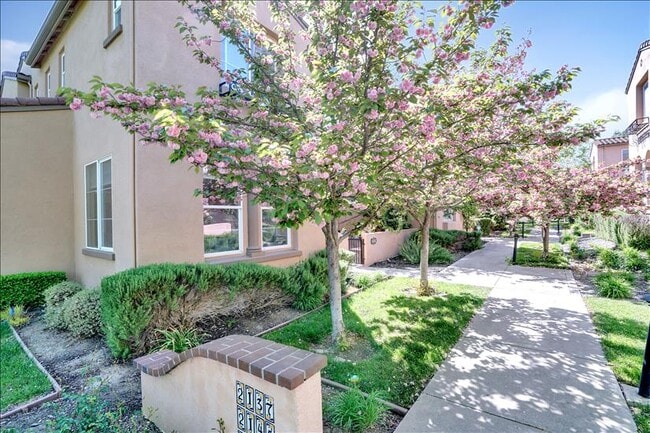 2137 Cedarwood Loop in San Ramon, CA - Building Photo - Building Photo