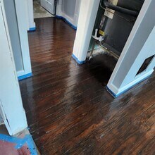 735 18th St S in St. Petersburg, FL - Building Photo - Building Photo