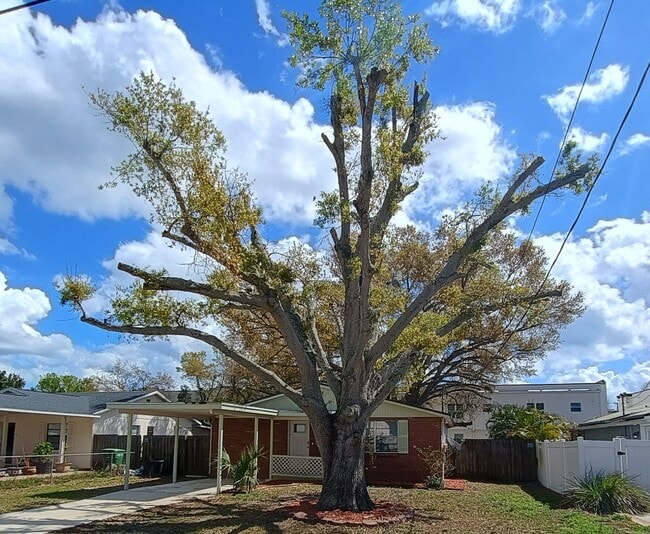 3624 W Anderson Ave in Tampa, FL - Foto de edificio - Building Photo