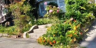 2531 Benvenue Ave in Berkeley, CA - Building Photo