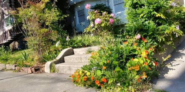 2531 Benvenue Ave in Berkeley, CA - Building Photo