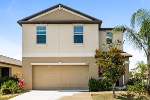 7311 Ozello Trail Ave in Sun City Center, FL - Building Photo