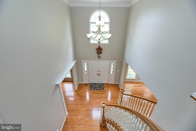 2859 Cherry Branch Ln in Herndon, VA - Building Photo - Building Photo