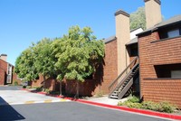 Amberwood in Stockton, CA - Building Photo - Building Photo