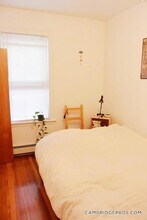 137 Columbia St, Unit 2L in Cambridge, MA - Building Photo - Building Photo