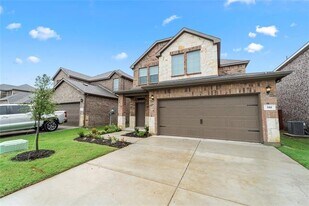580 Minnie Ln in Pilot Point, TX - Building Photo
