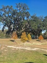 5684 Native Oak Dr in Tallahassee, FL - Foto de edificio - Building Photo