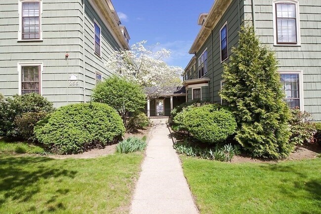 255 Lafayette St in Salem, MA - Building Photo - Building Photo