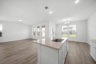 21290 Catalina Palm Dr in Cypress, TX - Building Photo - Building Photo