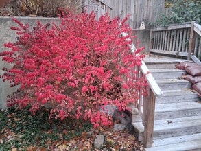 775 Knotty Oak Rd in Coventry, RI - Foto de edificio - Building Photo