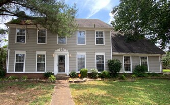 8209 Crimson Creek Dr in Memphis, TN - Building Photo