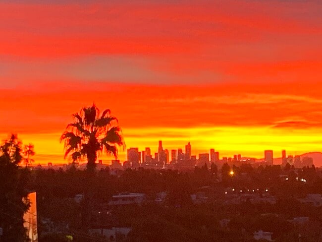 8530 Holloway Dr, Unit 426 in West Hollywood, CA - Foto de edificio - Building Photo