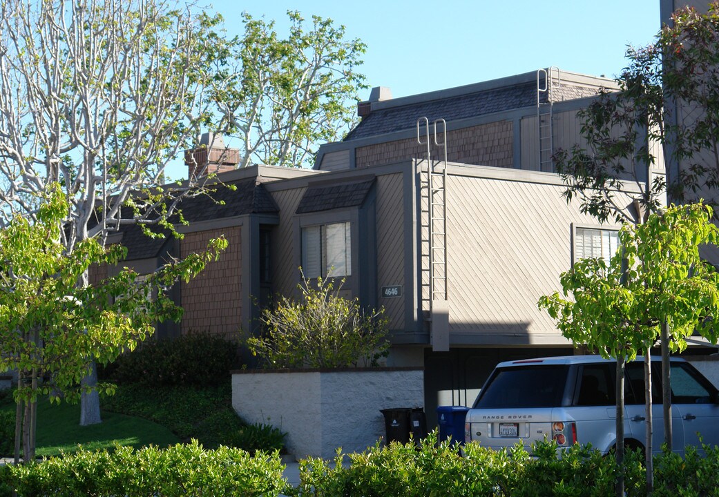 4646 Glencoe Ave in Los Angeles, CA - Building Photo