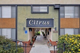 Citrus Apartments in La Habra, CA - Building Photo - Building Photo