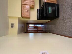 919 N Leavitt St in Chicago, IL - Building Photo - Building Photo