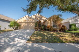 1410 Saddle Gold Ct in Brandon, FL - Building Photo