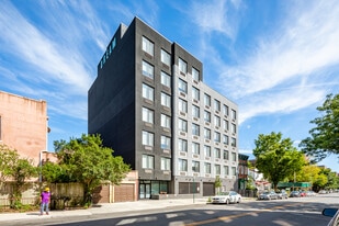 1311 New York Ave in Brooklyn, NY - Building Photo