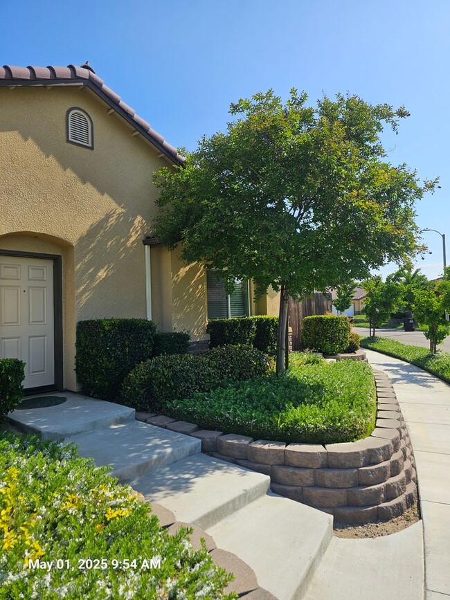 4228 Burrel Dr in Visalia, CA - Building Photo - Building Photo