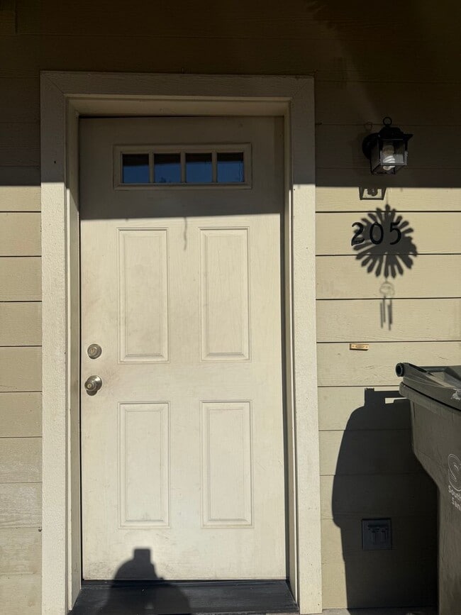 property at 205 Madrone St