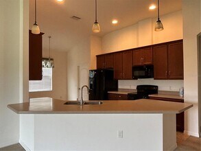 3802 Grecko Dr in Zephyrhills, FL - Building Photo - Building Photo