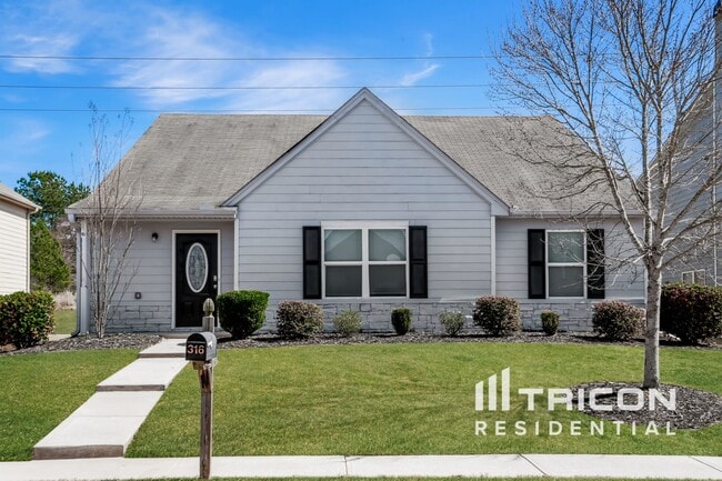 property at 316 Meadow Vista Ln