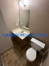 153 SW Oxford Pl in Lee's Summit, MO - Building Photo - Building Photo