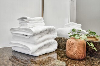 2540 Prospect St in Houston, TX - Foto de edificio - Building Photo