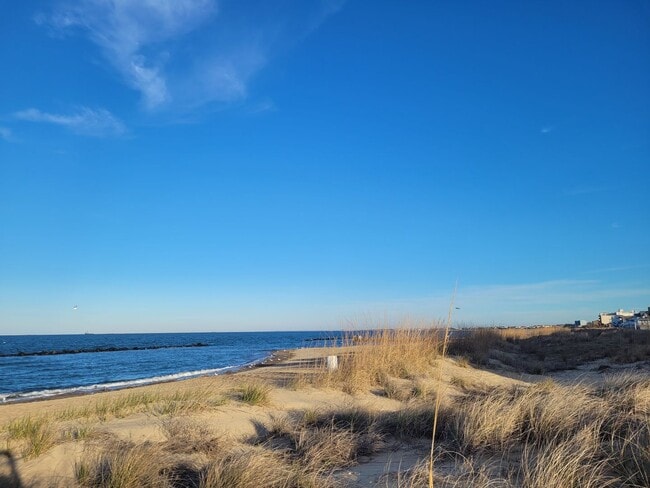 910 E Ocean View Ave in Norfolk, VA - Building Photo - Building Photo