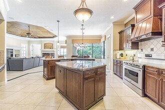 20411 Lace Cascade Rd in Land O Lakes, FL - Building Photo - Building Photo