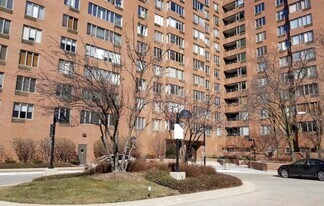 801 S Plymouth Ct, Unit 805 in Chicago, IL - Building Photo