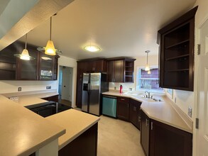 2600 Andrade Way in Sacramento, CA - Building Photo - Building Photo