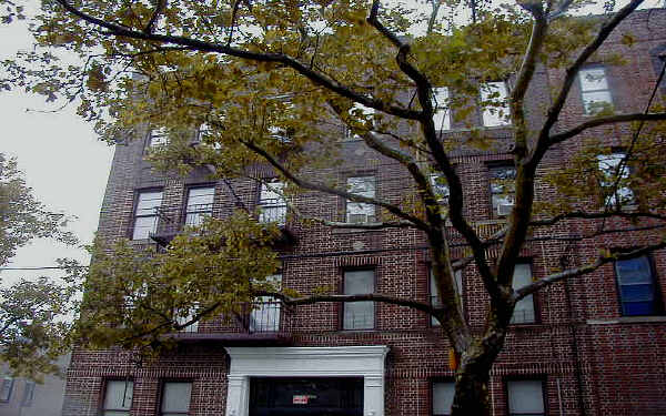 1087 Willmohr St in Brooklyn, NY - Building Photo