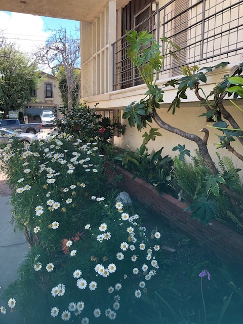 The Sanctuary At Franklin in Los Angeles, CA - Foto de edificio