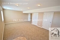 1253 W Bridalwood Loop photo'