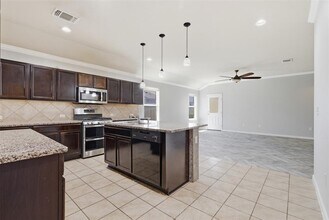 149 Dusky Thrush Dr in Kyle, TX - Building Photo - Building Photo