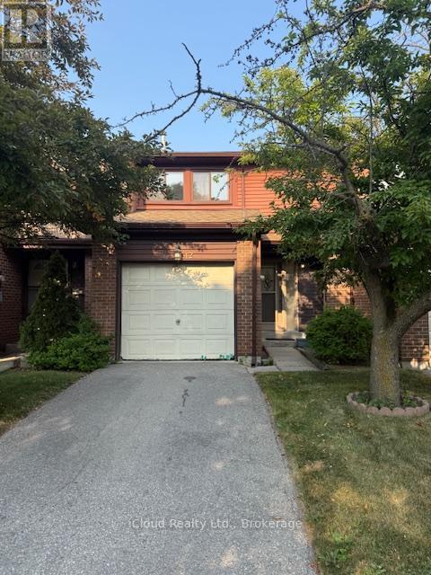 42-11 PLAISANCE RD Rd in Richmond Hill, ON - Building Photo