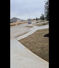 26503 Foxtail Fern Dr in Katy, TX - Building Photo - Building Photo
