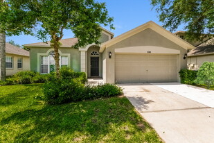 3309 Downan Point Dr in Land O Lakes, FL - Building Photo