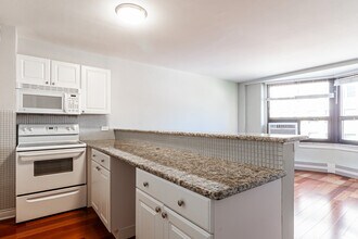 419 W Wellington Ave, Unit A in Chicago, IL - Building Photo - Building Photo