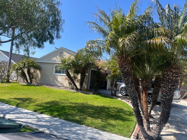 property at 4921 Scenario Dr
