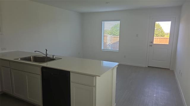 4004 Belmont Dr in Aubrey, TX - Building Photo - Building Photo