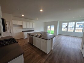 5931 Hawkweed Dr in Naperville, IL - Building Photo