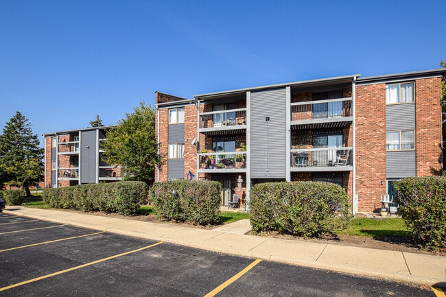 264 Canterbury Ln in Bolingbrook, IL - Foto de edificio - Building Photo