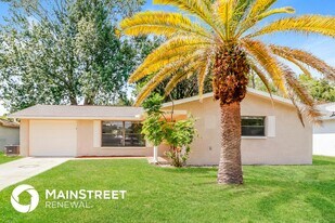 4248 Raccoon Loop in New Port Richey, FL - Building Photo