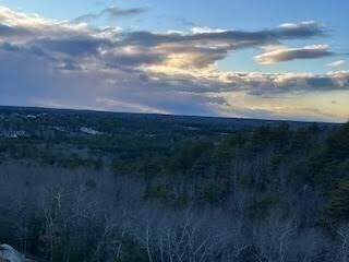 56 Tinker's Blf in Plymouth, MA - Building Photo - Building Photo