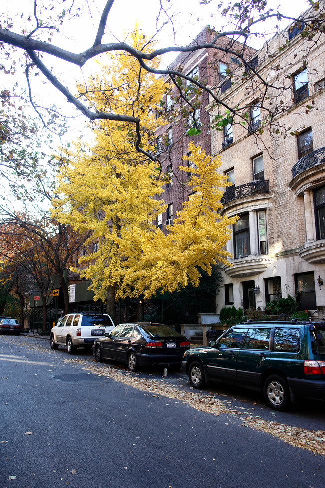 20 Pierrepont St in Brooklyn, NY - Building Photo - Building Photo