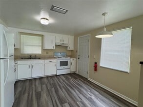 12007 Homerville Ln in Seffner, FL - Building Photo - Building Photo