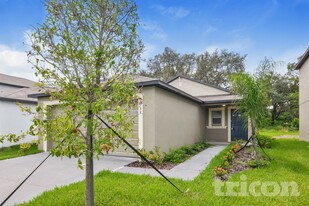 12739 Lemon Pepper Dr in Riverview, FL - Building Photo