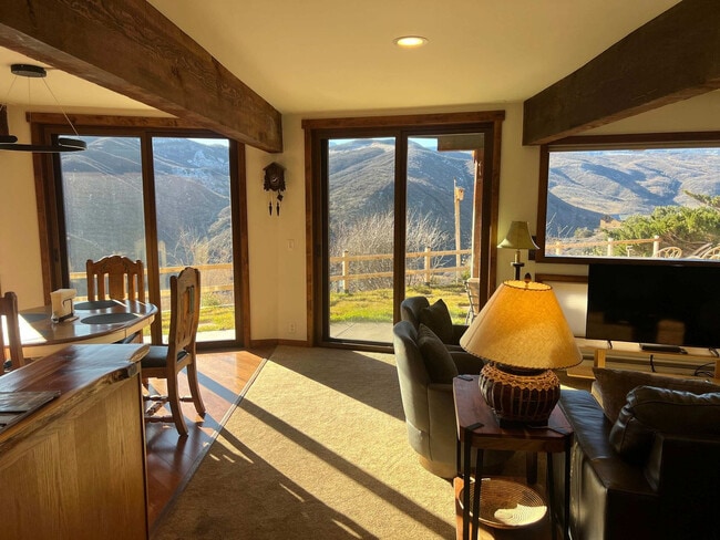 976 Medicine Bow Rd in Aspen, CO - Building Photo - Building Photo